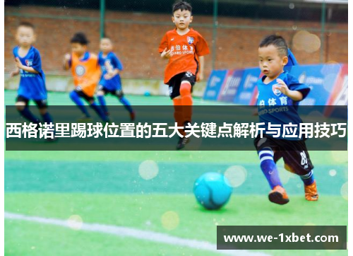 西格诺里踢球位置的五大关键点解析与应用技巧